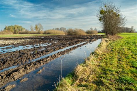 Aktualna Sytuacja Hydrologiczna W Polsce