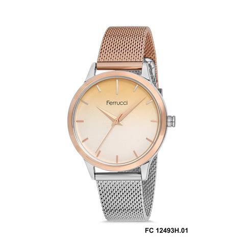 Ferruci Steel Woman Watch