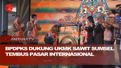 BPDPKS Dukung UKMK Sawit Sumsel Tembus Pasar Internasional YouTube