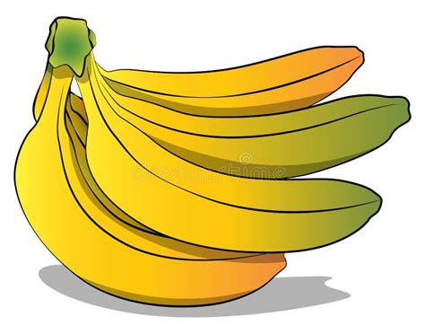 Bunch Bananas Cartoon Stock Illustrations 1 075 Bunch Bananas Cartoon