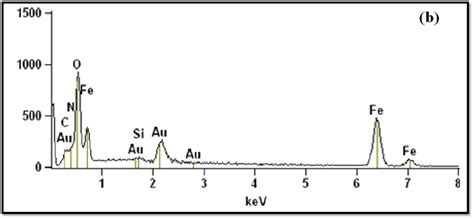 Edx Of Mild Steel Samples A After Immersion In M H So