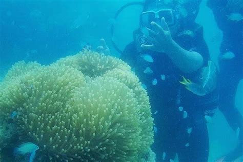 2023 Scuba Diving Shore Dive At Havelock Islands