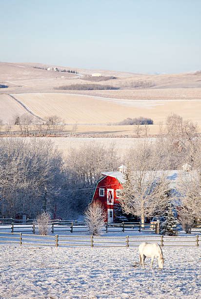 Rural Alberta Farm Field In Winter Stock Photos Pictures And Royalty