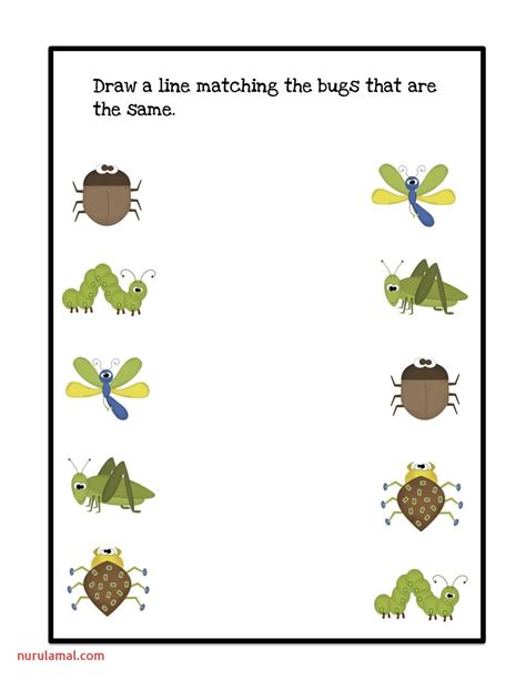 Insect Printables