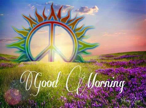 ☮ American Hippie ☮ Happy Hippie Day Morning Peace Sign Art