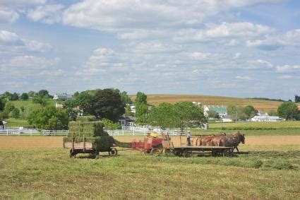 Amish Farm