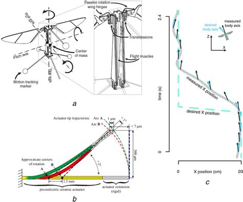 Details for the design of Robobee from Harvard University [28, 34,... | Download Scientific Diagram