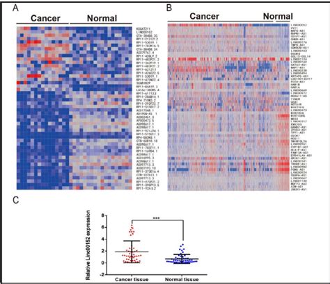 Figure 1 From Long Noncoding Rna Linc00152 Functions As A Tumor