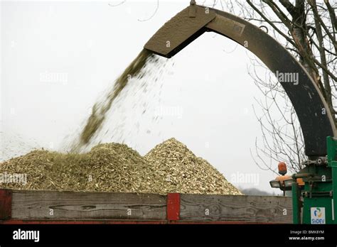 Wood Renewable Energy Stock Photo Alamy