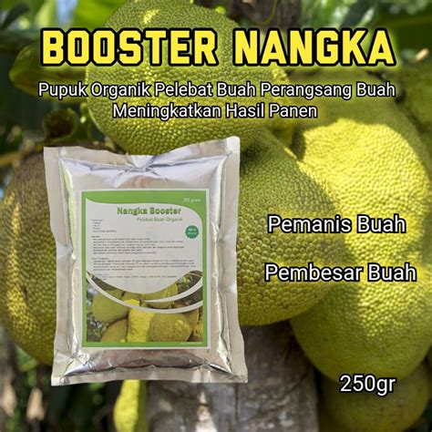 Jual Booster Nangka Organik Agar Cepat Berbuah Lebat Ampuh Pupuk