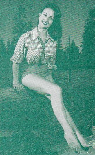 Vintage Arcade Card Pin Up Girl Sexy Semi Nude Risque Topics Pin Ups Postcard HipPostcard