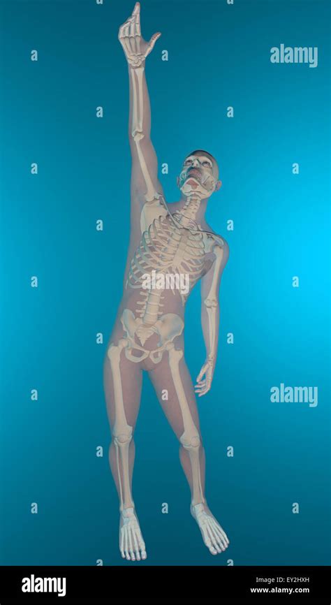 X Ray Of Human Body And Skeleton With Rasing Hand Stock Photo Alamy