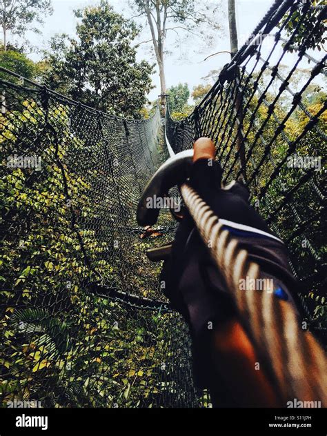 Obstacle Rope Course High Above Ground Stock Photo Alamy