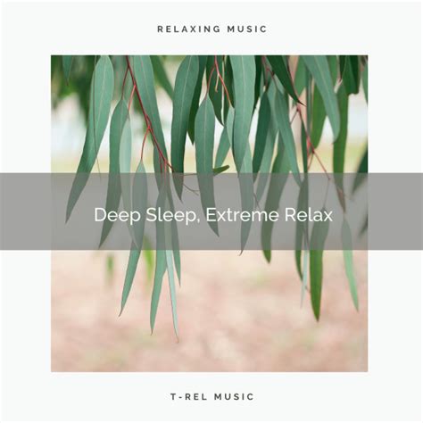 1 Deep Sleep Extreme Relax Album By Soothing Nature Sounds Spotify