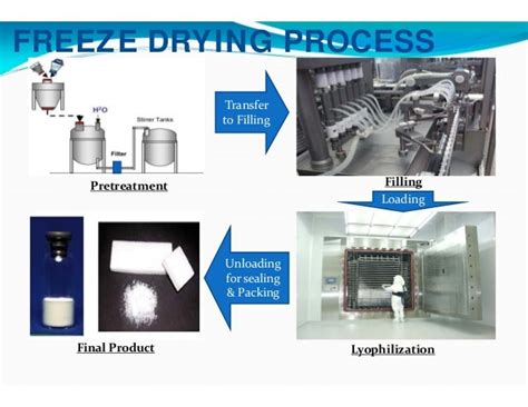 Lyophilization Process