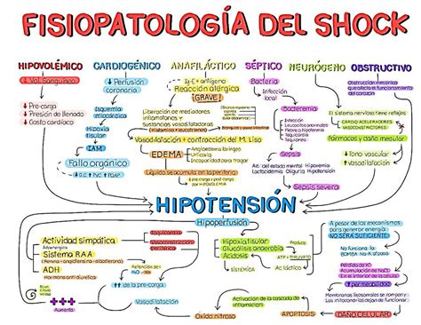 Fisiopatologia Del Shock Mind Map The Best Porn Website