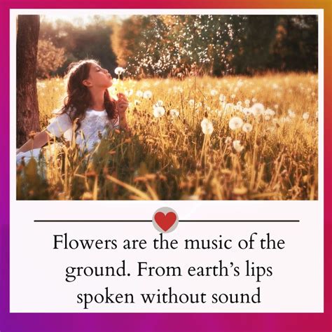 Best 360 Flower Captions And Quotes For Instagram 2024