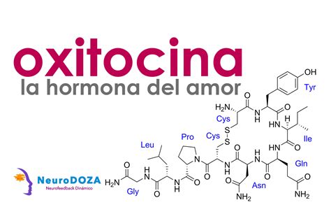 Oxitocina La Hormona Del Amor Y La Mentira Neurodoza