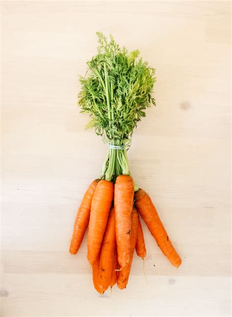 Carrot Segmentation Instance Segmentation Dataset By Business