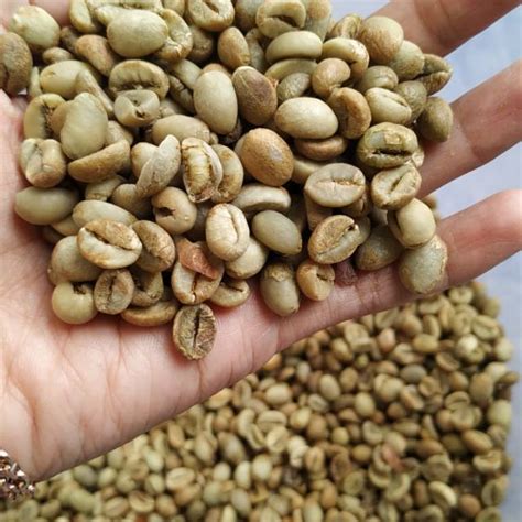 Jual Green Bean Biji Kopi Robusta Grade Asalan Sortir 1kg Shopee