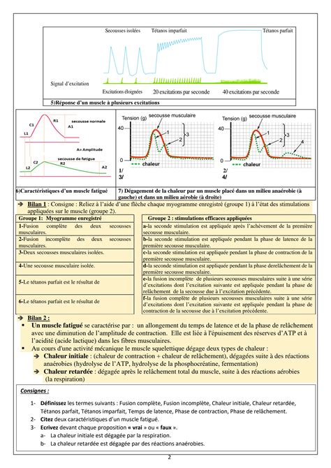 Solution Fiches De R Vision Svt Chapitre Unit La Contraction