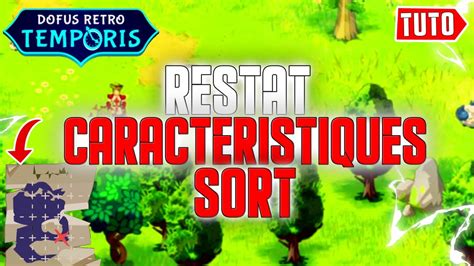 Comment Restat Ces Cacaract Ristiques Et Sorts En Illimit Sur Dofus