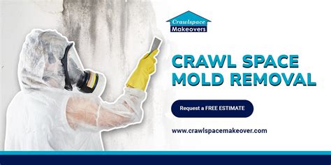 Crawl Space Mold Removal Your Comprehensive Guide To Detection And