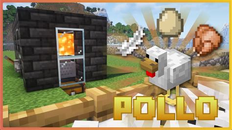 Granja De Pollos Definitiva Minecraft Java And Bedrock 121 🔝 Comida Afk🍗 Plumas Y Huevo 🪶🥚