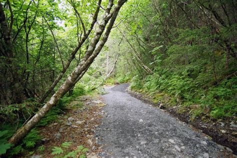 Hiking Tonsina Trail Towards Lowell Point Seward