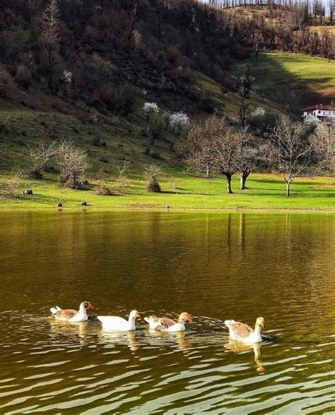 Gilan Iran Iraninreality
