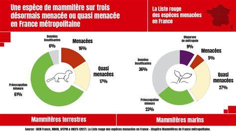 Repères Les six catégories pour classer les espèces dans la liste rouge