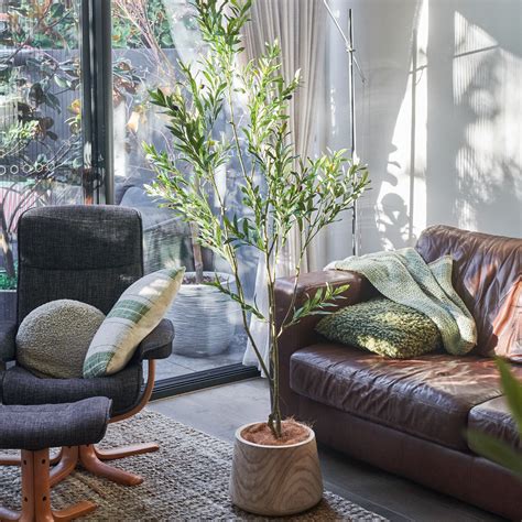 Everly Real Touch Olive Tree with Wood Pot - Artificial Olive Tree