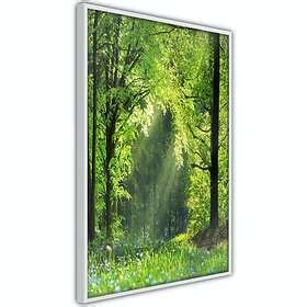 Artgeist Poster Affisch Rebirth Of Nature Poster 40x60 A3 DRBPRP1707l