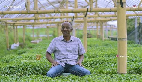 Menjadi Petani Sukses Foto Oleh Youtube Capcapung