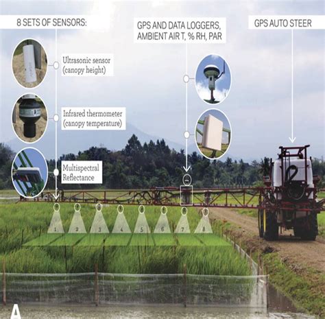 Field Based High Throughput Phenotyping Identifies Genes Controlling