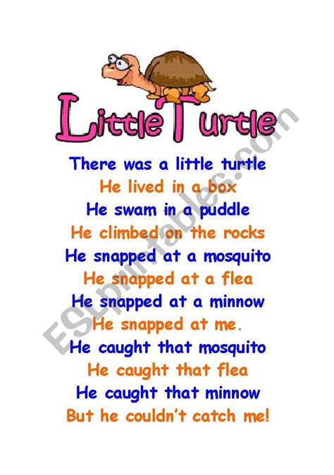 The Little Turtle Worksheet Kindergarten Songs Preschool Songs