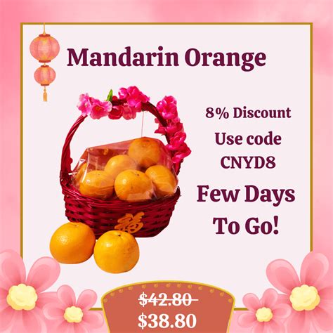 Mandarin Orange Hamper Basket 8 Oranges Floral Garage Sg