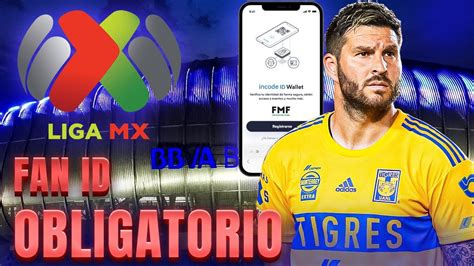 El Fan Id Todo Lo Que Debes Saber Para Ir A Un Estadio De La Liga Mx