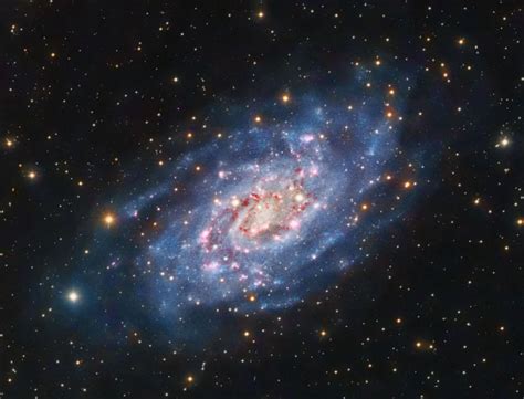 The flocculent spiral galaxy NGC 2403 lies 10 million light-years away ...