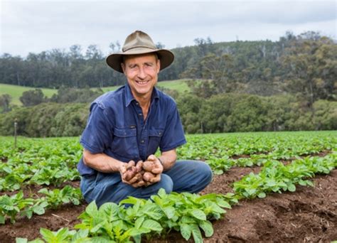 western australias processed potato sales hit  covid  lockdowns