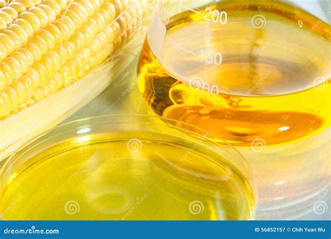 Biofuel Or Corn Syrup Sweetcorn Stock Image Image Of Conservation