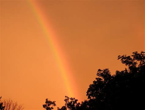 Orange Sky At Night, Tomatoes Take Fright | THE SPECTACLED BEAN