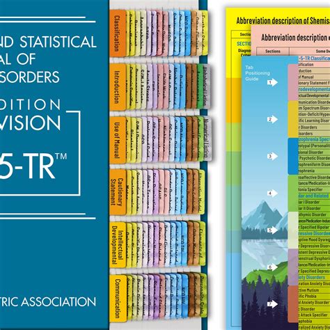 Mua Dsm Tr Tabs And Dsm Index Tabs Color Coded And Laminated