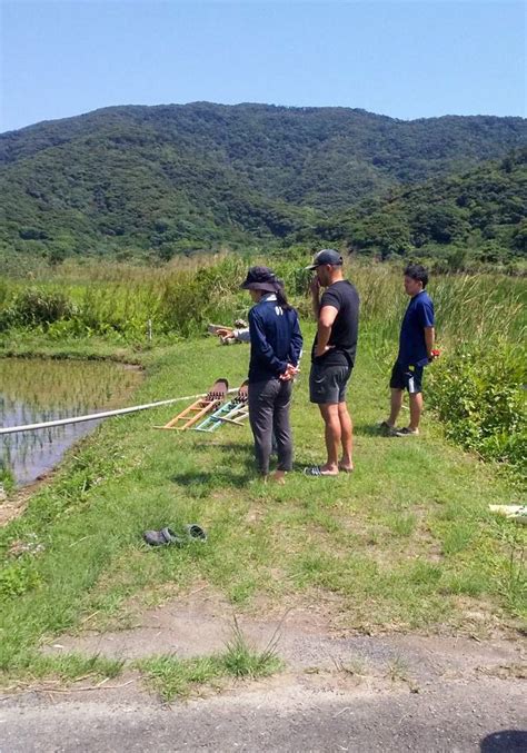 2回目の、根かき田ぬ草小湊小学校 田んぼ作業 奄美市名瀬小湊町内会