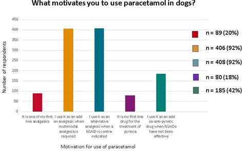 Can Dogs Take Paracetamol