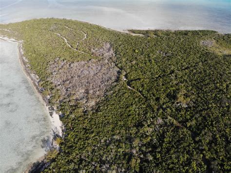 Wild Berry Cay The Berry Islands Bahamas Caribbean Private Islands For Sale