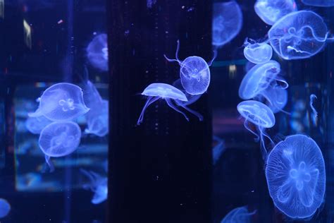 【獨家優惠】香港浩海立方探游館｜親子好去處 Eztravel易遊網