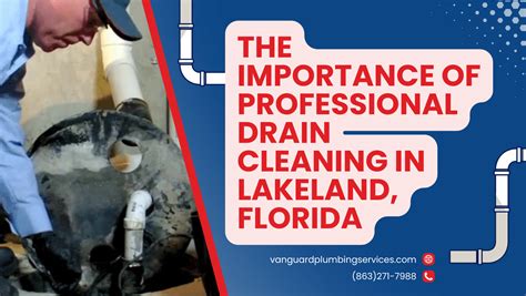 Why Professional Drain Cleaning Is Crucial In Lakeland Florida