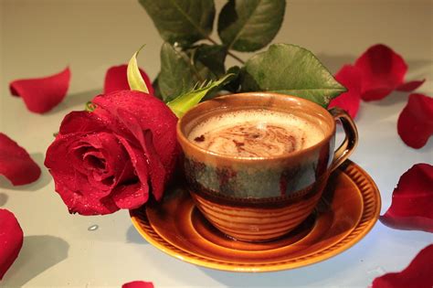rose coffee cup  photo  pixabay