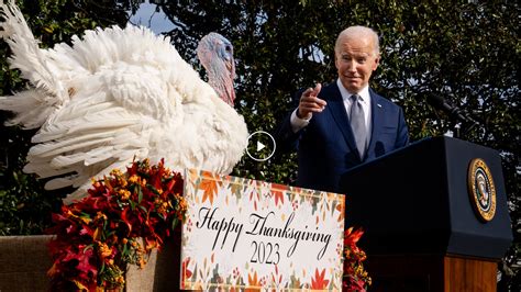 Biden Pardons Turkeys in Annual Thanksgiving Tradition - The New York Times